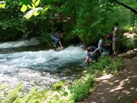 vrelo bosne