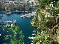 MONTECARLO