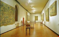 museo il correggio