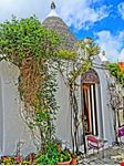  tenuta pinto