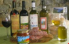 enogastronomia