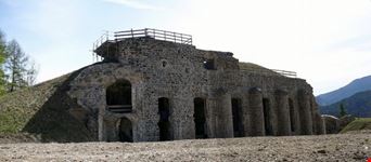 forte tenna