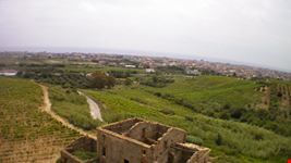 le vie del vino Cirò