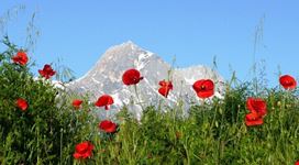 abruzzo