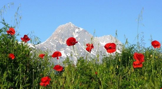 Abruzzo da vivere