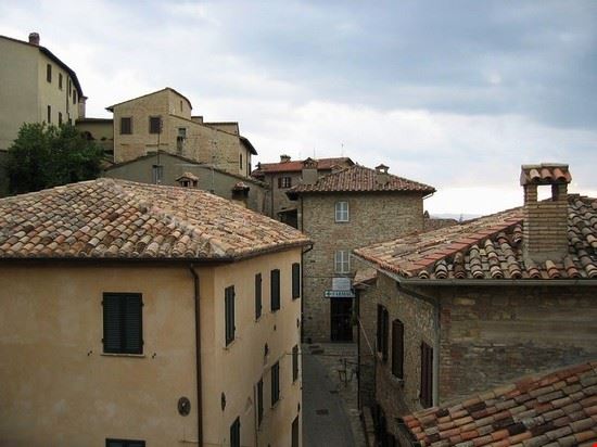  Montone Mac9 - CC BY 2.0 Mac9