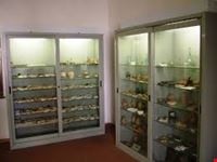 Museo Naturalistico