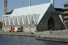 feskekorka goteborg