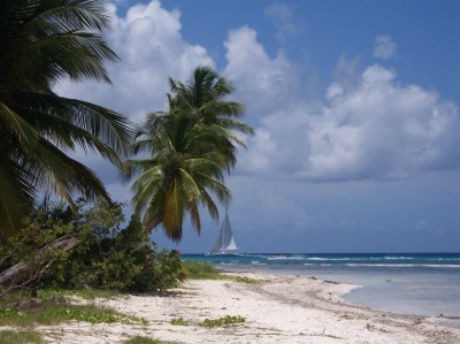  isola di saona