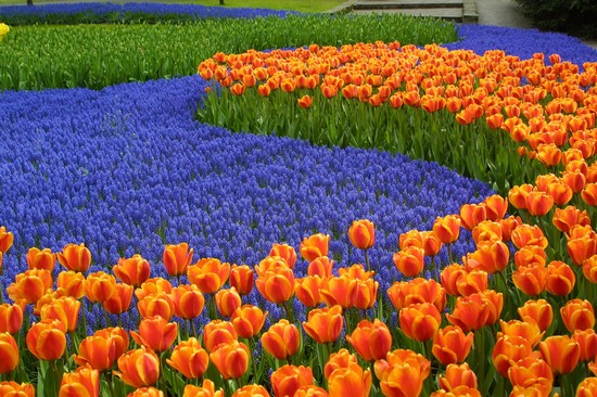 Parco Keukenhof