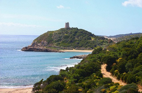 Foto Spiaggia Di Torre Chia A Pula 500x326 Autore