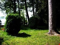  isolino virginia