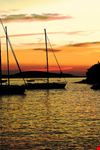  la notte della pesca