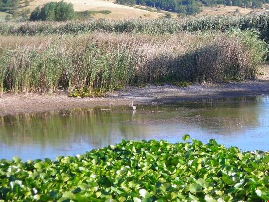 Parco di Colfiorito - Cantalamessa - Cantalamessa - CC BY 2.5