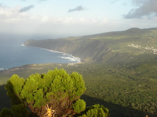 faial azores
