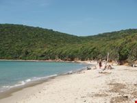 Cala Violina
