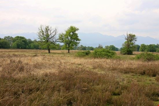 Riserva Naturale Orientata delle Baragge