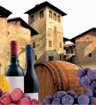 vinincontro