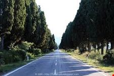 Viale dei Cipressi