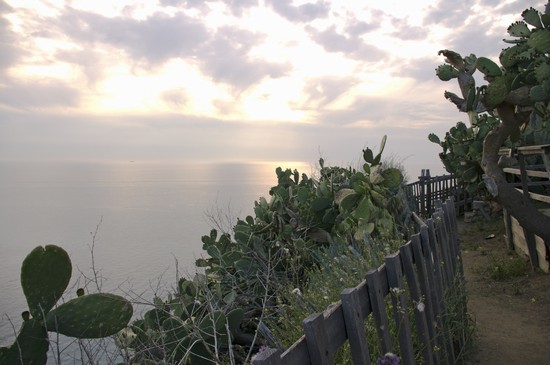 Capo Vaticano