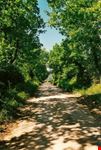 via flaminia