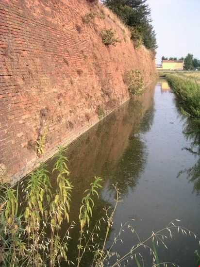 Mura