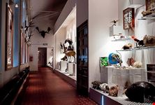 museo storia naturale deruta