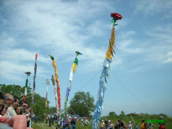 festa sant'alberto