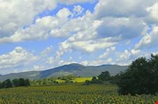 riserva naturale monte rufeno