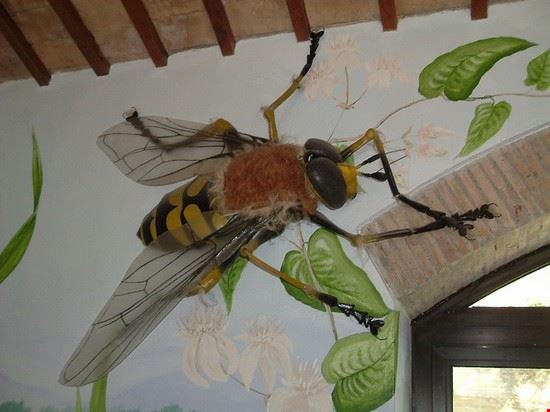 Museo del Fiore