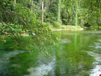 Terme Varroniane