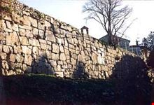 Mura