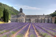 Abbazia di Senanque