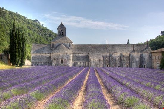 Abbaye de Senanque - decar66 - decar66 - CC BY 2.0