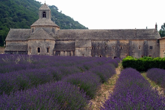 Abbazia di Senanque