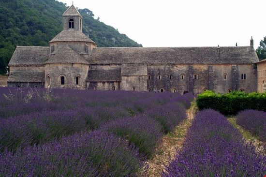 Abbaye de Senanque Gordes Giovanni - CC BY 2.0 Giovanni