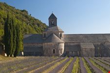 Abbazia di Senanque