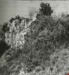 rocca ottoni