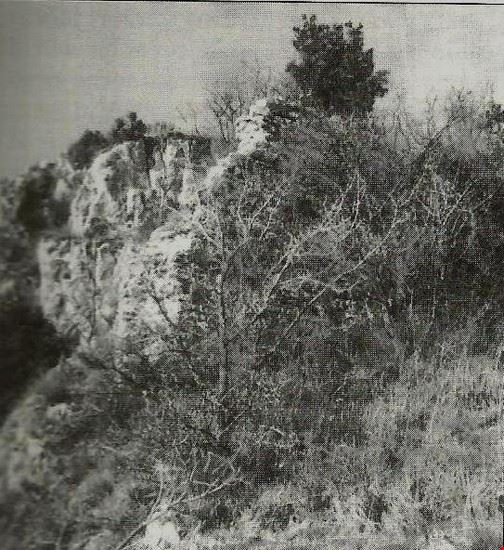  Matelica  