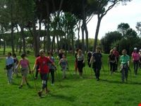 nordic walking