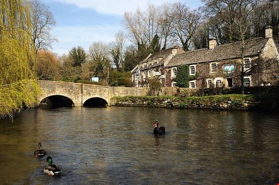  Bibury Saffron Blaze - CC BY-SA 3.0 Saffron Blaze