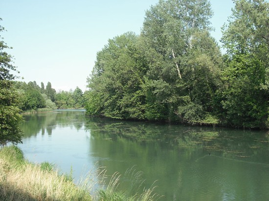sile