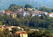 cerageto