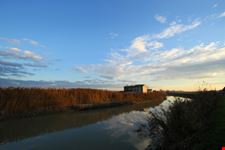 parco golene foce secchia