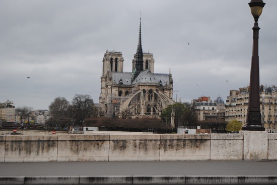 Cathédrale Notre-Dame de Paris veduta posteriore