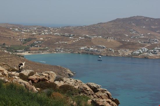  Mikonos troy mckaskle - CC BY-SA 2.0 troy mckaskle