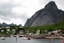 Reine