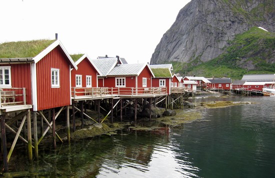Reine