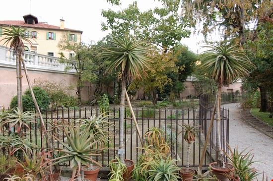 Orto Botanico di Padova Padova KLMircea - CC BY-SA 2.0 KLMircea