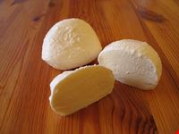 mozzarella